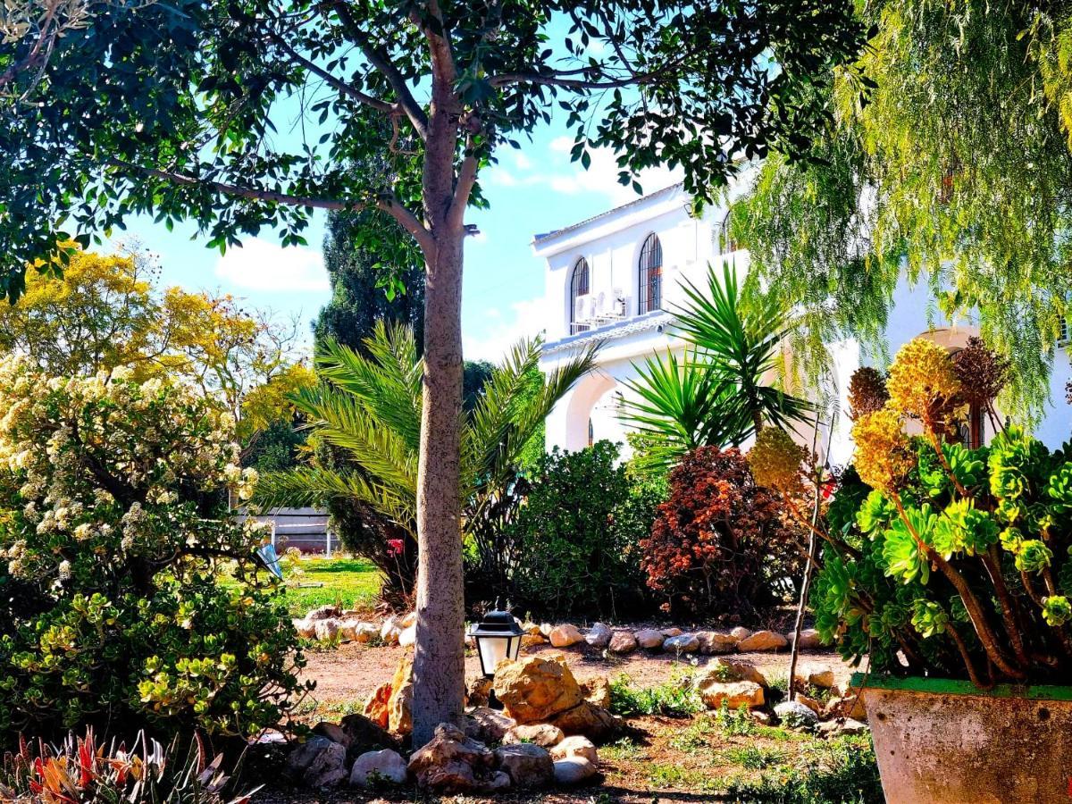 Chalet Alicante Sol Y Luz San Vicente Raspeig Екстер'єр фото