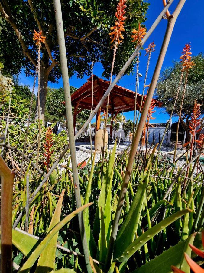 Chalet Alicante Sol Y Luz San Vicente Raspeig Екстер'єр фото